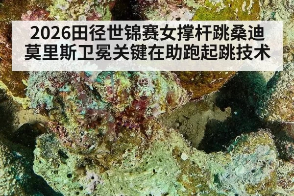 2026田径世锦赛女撑杆跳桑迪莫里斯卫冕关键在助跑起跳技术