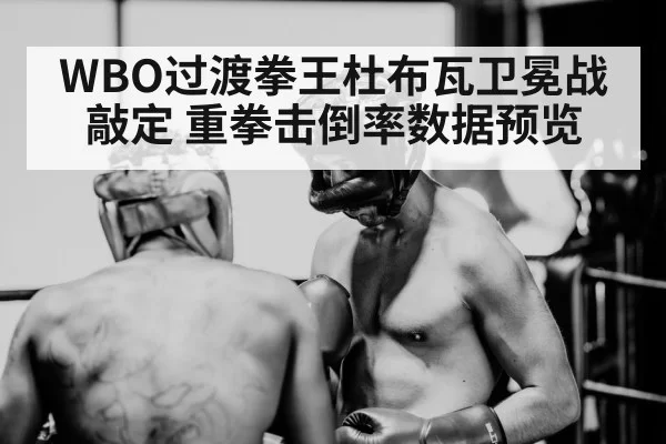 WBO过渡拳王杜布瓦卫冕战敲定 重拳击倒率数据预览