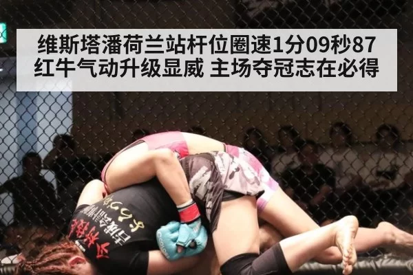 维斯塔潘荷兰站杆位圈速1分09秒87 红牛气动升级显威 主场夺冠志在必得